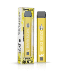 Esco Bars 2 Gram Delta-10 Disposable - Pineapple Express