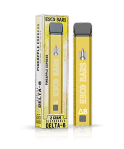 Esco Bars 2 Gram Delta-8 Disposable - Pineapple Express